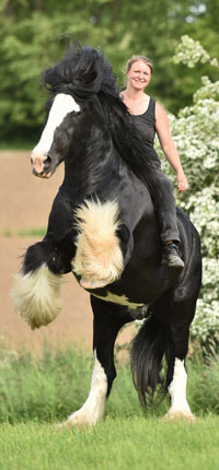 Foto: Tierfotografie Fabisch